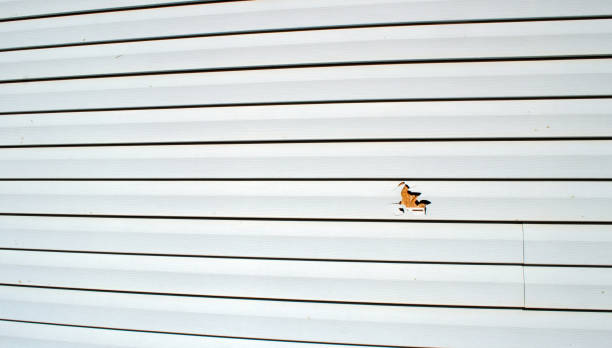 Historical Building Siding Restoration in Pelham Manor, NY